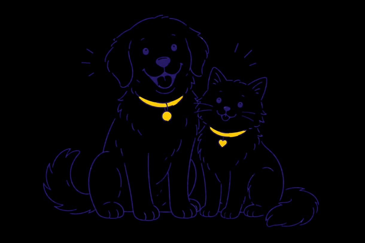 A dog and a cat sitting together